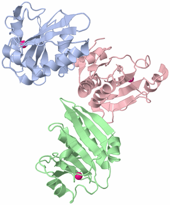 Image Asymmetric Unit