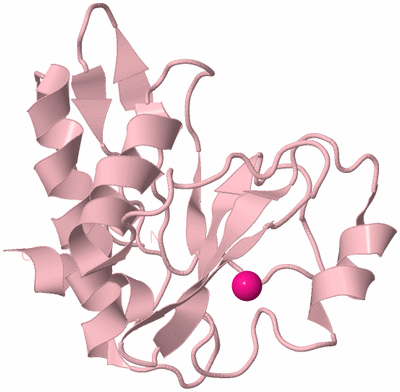 Image Biological Unit 3