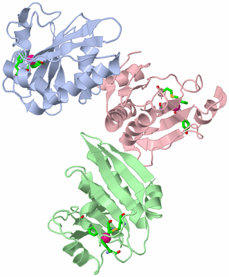 Image Asym. Unit - sites