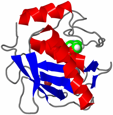 Image NMR Structure - model 1