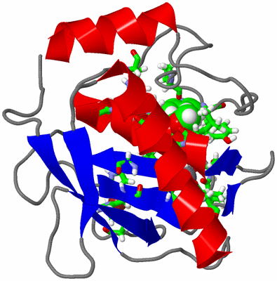 Image NMR Structure - model 1, sites