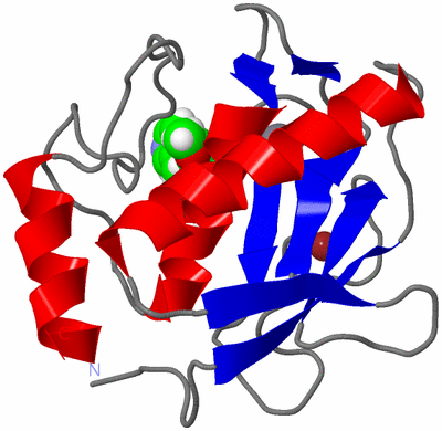 Image NMR Structure - model 1