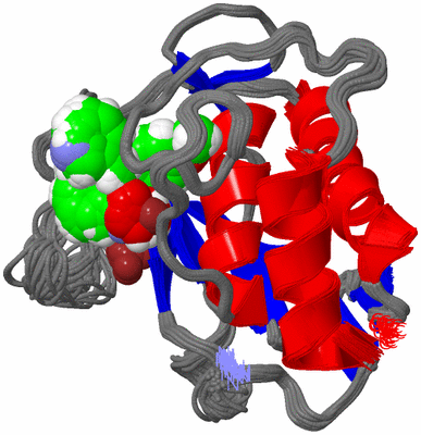 Image NMR Structure - all models