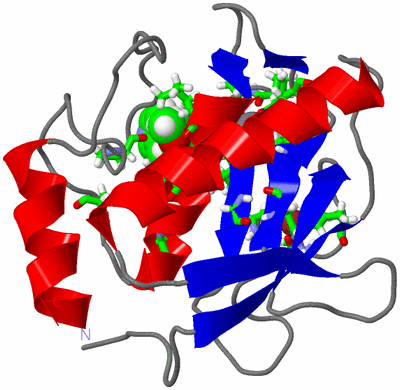 Image NMR Structure - model 1, sites