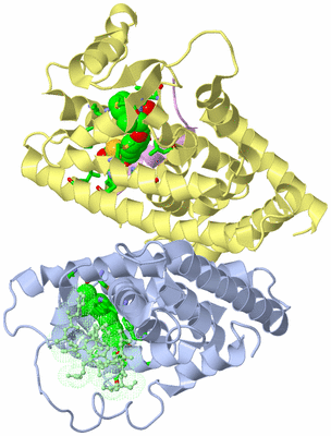 Image Biol. Unit 1 - sites