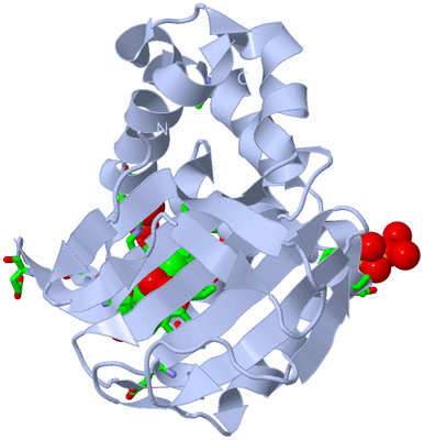 Image Biol. Unit 1 - sites