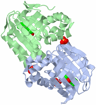 Image Biological Unit 3