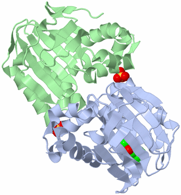 Image Biological Unit 3