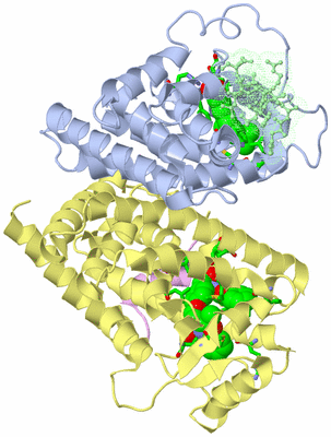 Image Asym./Biol. Unit - sites