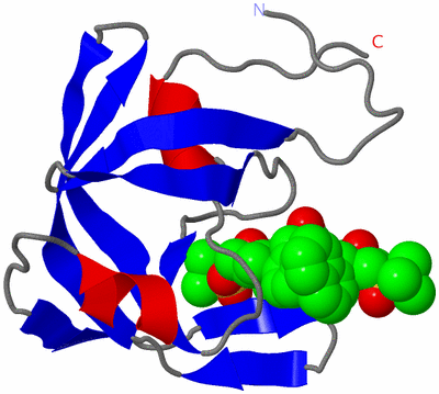Image Asymmetric Unit
