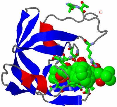 Image Asym. Unit - sites