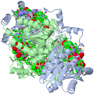 Image Biol. Unit 1 - sites