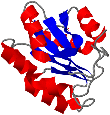 Image NMR Structure - model 1