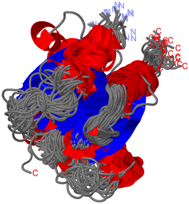 Image NMR Structure - all models