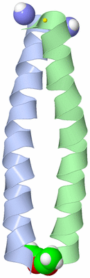 Image NMR Structure - model 1