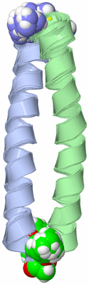 Image NMR Structure - all models