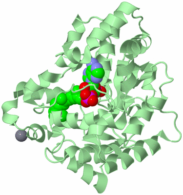 Image Biological Unit 2