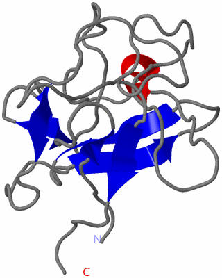 Image NMR Structure - model 1