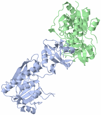 Image Asymmetric Unit