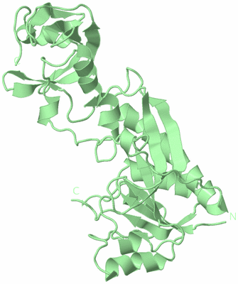 Image Biological Unit 2