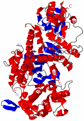 Image Asym./Biol. Unit