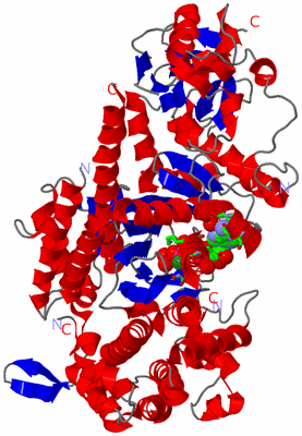 Image Asym./Biol. Unit - sites