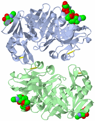 Image Asymmetric Unit