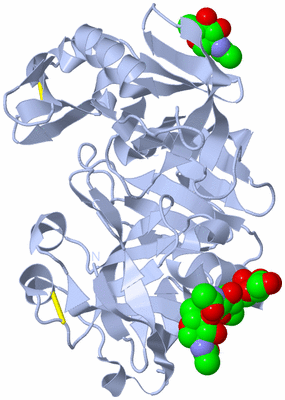 Image Biological Unit 1
