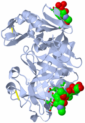 Image Biol. Unit 1 - sites