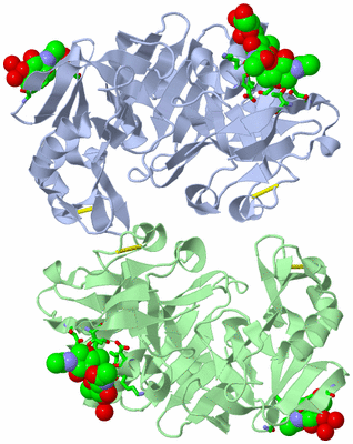 Image Asym. Unit - sites