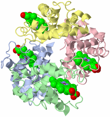 Image Asym./Biol. Unit