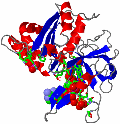 Image Asym./Biol. Unit - sites