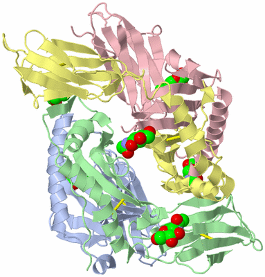 Image Asymmetric Unit