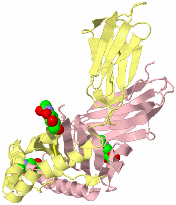 Image Biological Unit 2