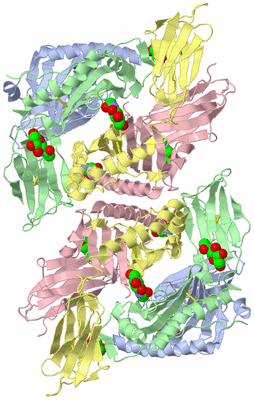 Image Biological Unit 3