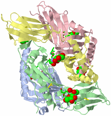 Image Asym. Unit - sites