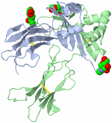Image Biological Unit 1
