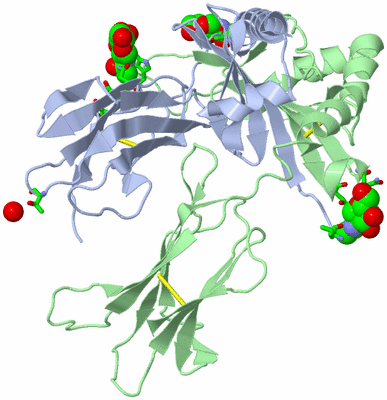 Image Biol. Unit 1 - sites