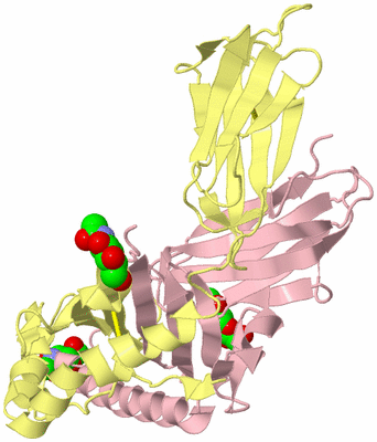 Image Biological Unit 2