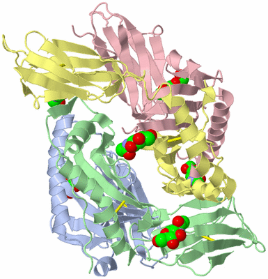 Image Biological Unit 3