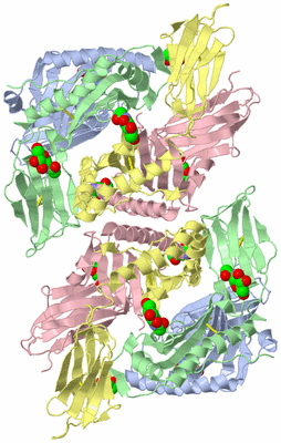 Image Biological Unit 4