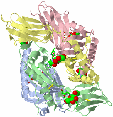 Image Asym. Unit - sites