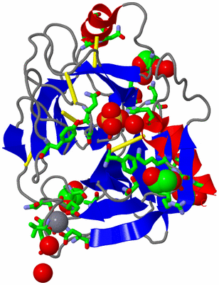 Image Asym./Biol. Unit - sites