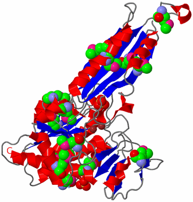 Image Asymmetric Unit