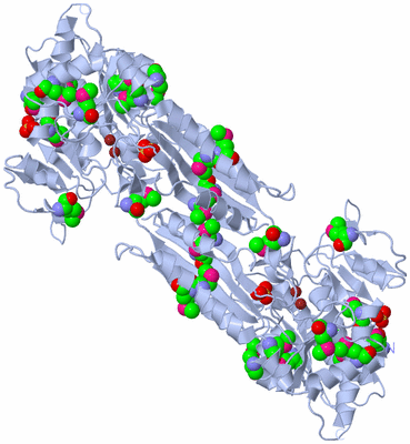 Image Biological Unit 1