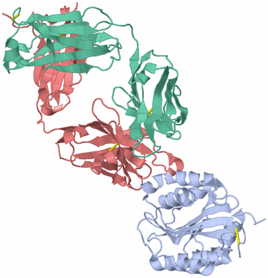 Image Asym./Biol. Unit