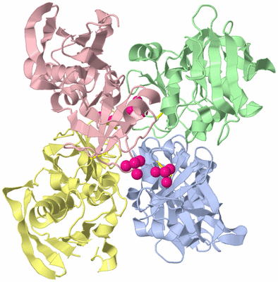 Image Asym./Biol. Unit