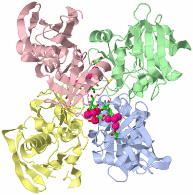 Image Asym./Biol. Unit - sites