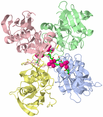 Image Biol. Unit 1 - sites