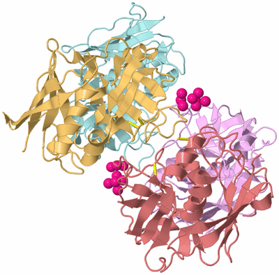 Image Biological Unit 2